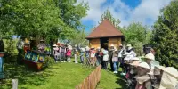 Экскурсия в усадьбу "Гаенские истоки"