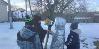 Зимующим птицам - нашу заботу